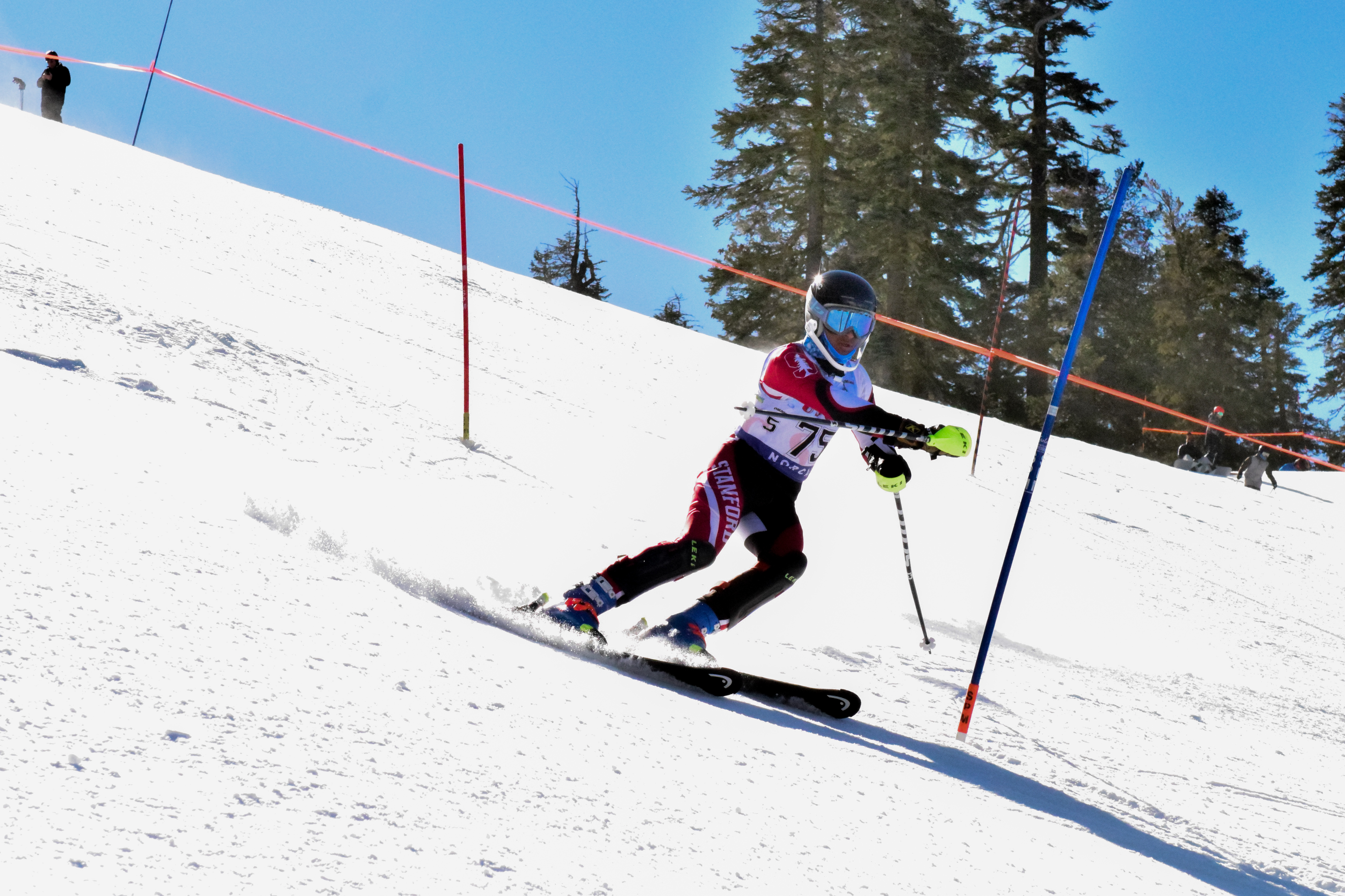 Parthiv skiing in a slalom race.
